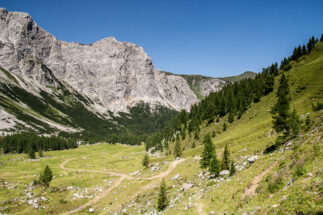Almlandschaft