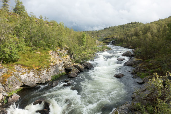 Ein Fluss ohne Namen ist unser Begleiter auf unser letzten Etappe durch die Hardangervidda