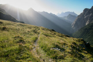 Morgenlicht am karnischen Höhenweg