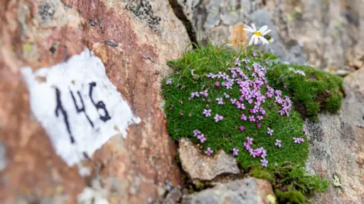 Weg-146-Sellrainer-Huettenrunde Der Weg 146 führt uns bis nach Kühtai