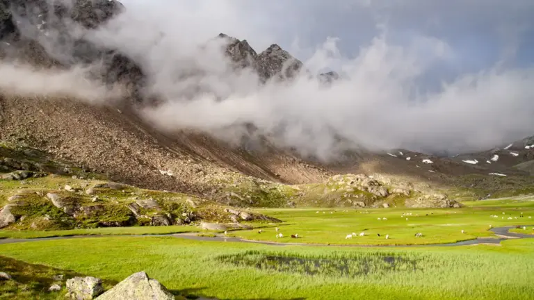 Hochmoor "Hohes Moos"