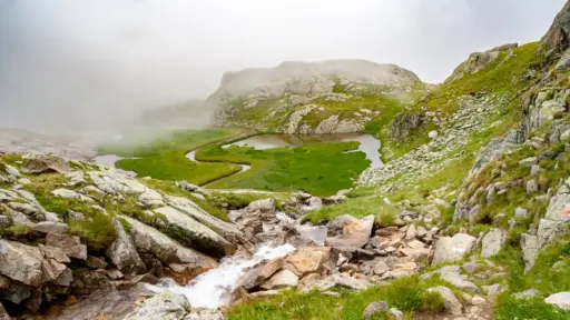 Mäandrierende Bergbäche Mäandrierende Bergbäche