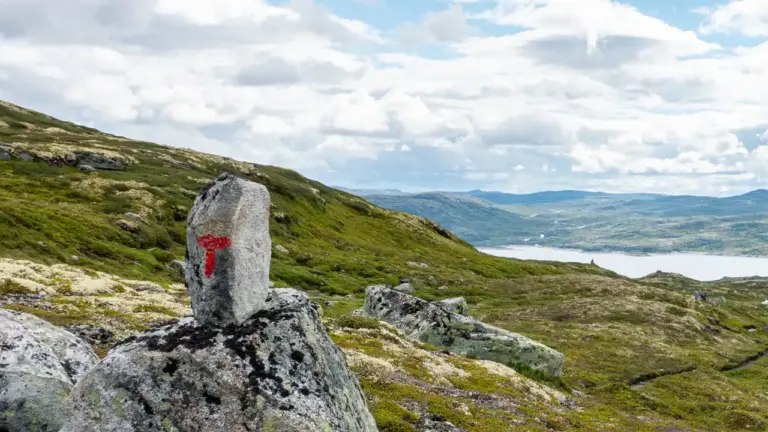 Wegmarkierung Hardangerjokulen-Umrundung Wegmarkierung (ein rotes "T") auf einem senkrecht stehenden Stein bei der Hardangerjokulen-Umrundung