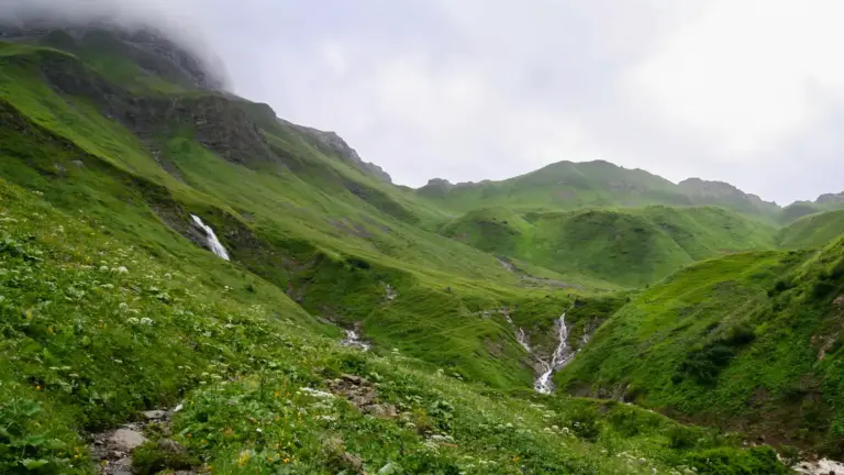 Almwiesen bei der Kemptner Hütte