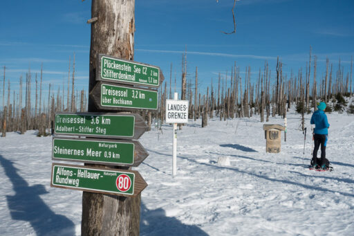 Dreiländereck, im Hintergrund Sturmschäden