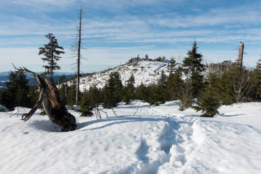 Der Dreisessel vom Adalbert-Stifter-Steig aus.