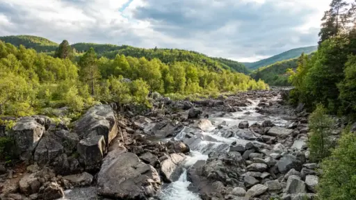 Wildfluss in der Hardangervidda Wildfluss in der Hardangervidda