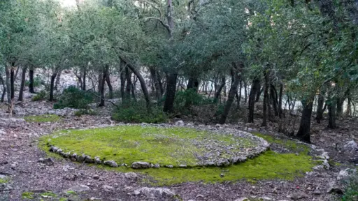 Carbonera (Köhlerplatz)