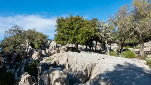 Felslandschaft am GR221