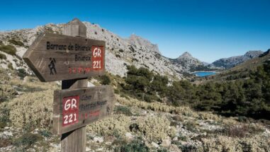 GR221