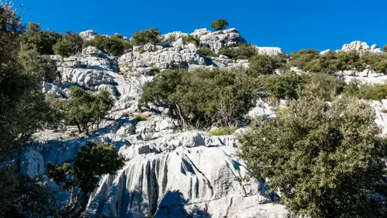 Karst am GR221 Karst auf Mallorca