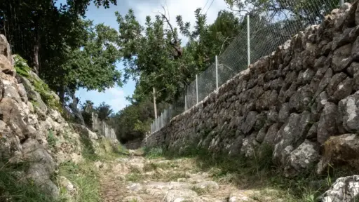 Zäune am Trockenmauerweg