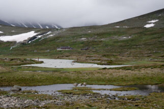 Glitterheim