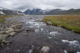 Jotunheimen Riesen