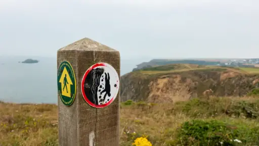 Warnschild am Pembrokeshire Coast Path Warnschild (Absturzgefahr) am Pembrokeshire Coast Path