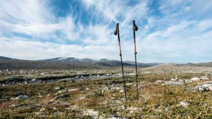 Trekkingstöcke