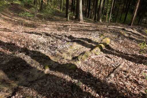 Steinerne Rinne bei Engelthal