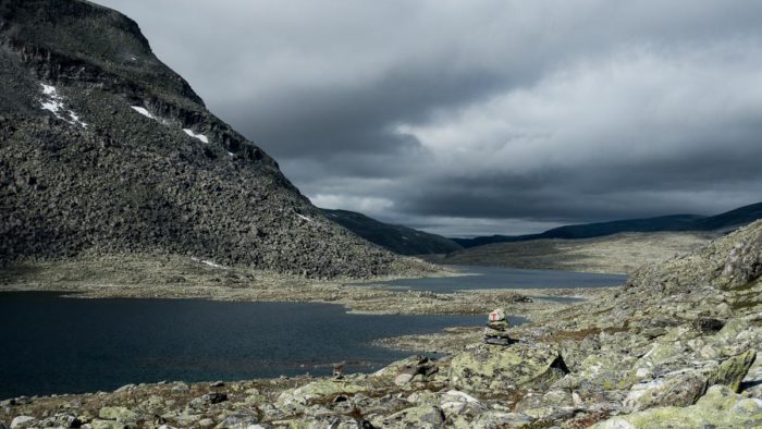 Dovrefjell