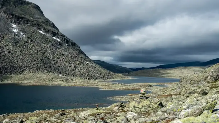 Dovrefjell