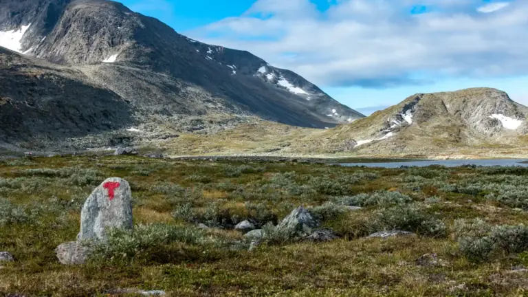 Wegmarkierung am Åmotsvatnet im Dovrefjell Wegmarkierung (rotes "T" auf Stein) am Åmotsvatnet im Dovrefjell