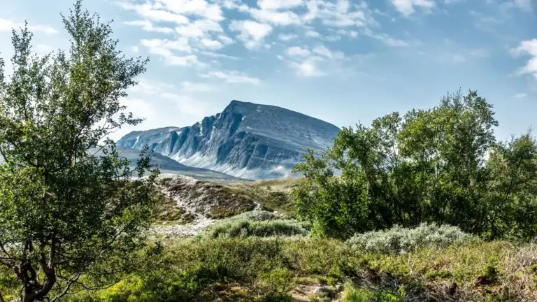 Sagtindan im Vordergrund niedrige Vegatation, im Hintergrund das schroffe Bergmassiv Sagtindan