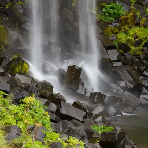 Detailansicht Svartifoss – Weißes Wasser auf schwarzem Basalt Nahaufnahme des Svartifoss Wasserfalls in Island, bei der weißes Wasser über dunkle, kantige Basaltblöcke mit grünem Moos fließt.