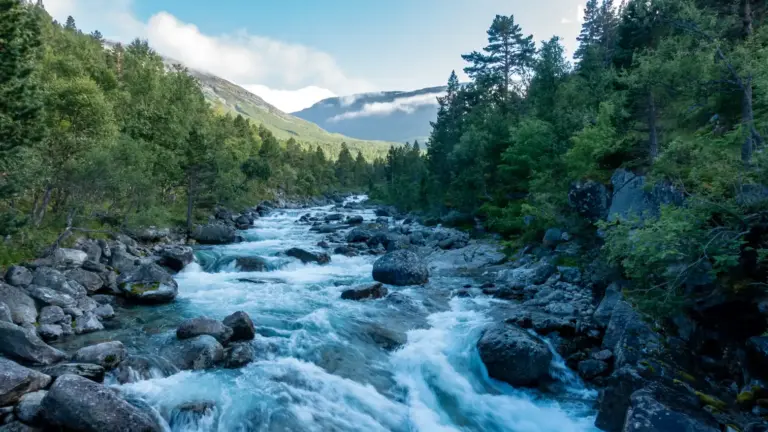 Linndøla Linndøla