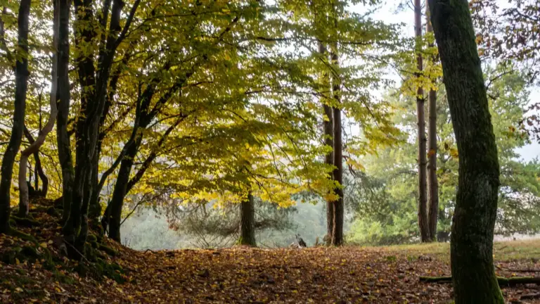 Trekking-Spessart Trekking im Spessart
