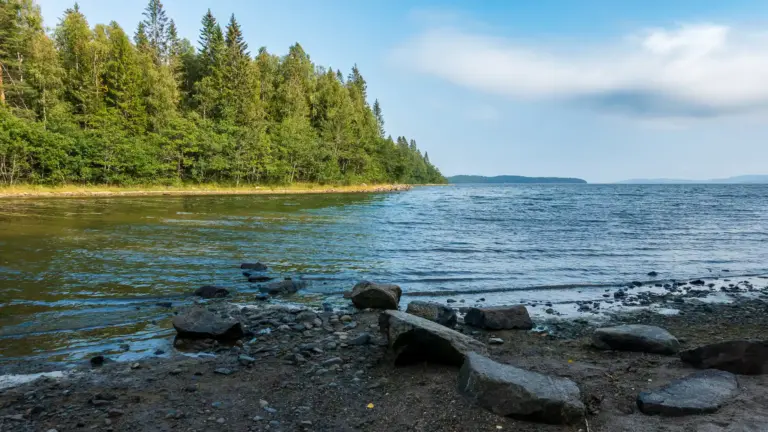 Höga Kustenleden: Bucht und Wälder an der schwedischen Höga Kusten Bucht an der Höga Kusten in Schweden mit dichtem Wald bis ans Meer – typische Landschaft entlang des Höga Kustenleden.
