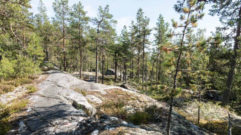 Marmorfelsen auf dem Höga Kustenleden