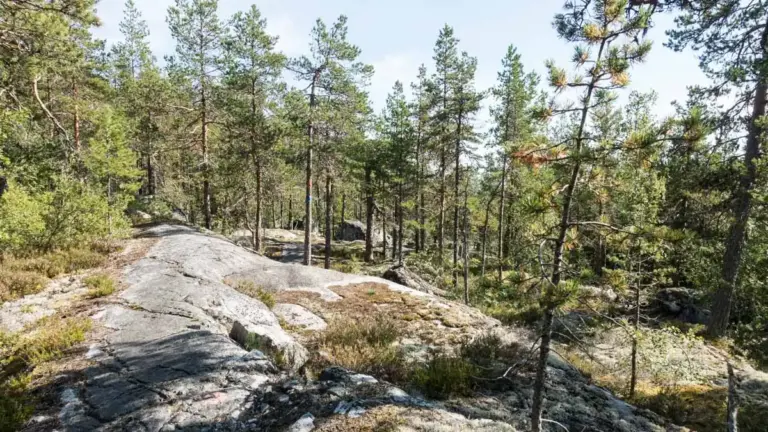 Marmorfelsen auf dem Höga Kustenleden Wanderweg über Marmorfelsen auf dem Höga Kustenleden