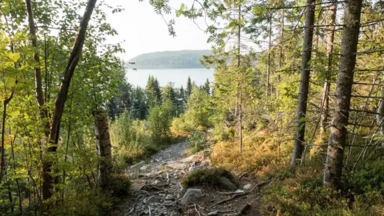 Meerblick am Höga Kustenleden Meerblick am Höga Kustenleden