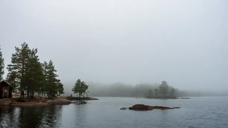 Nebel am Tärnättvattnen Nebel am Tärnättvattnen