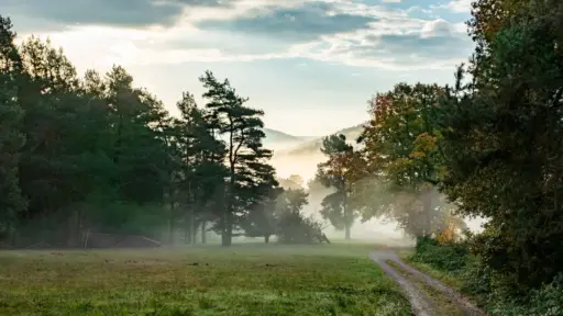 Morgennebel im Spessart Morgennebel im Spessart