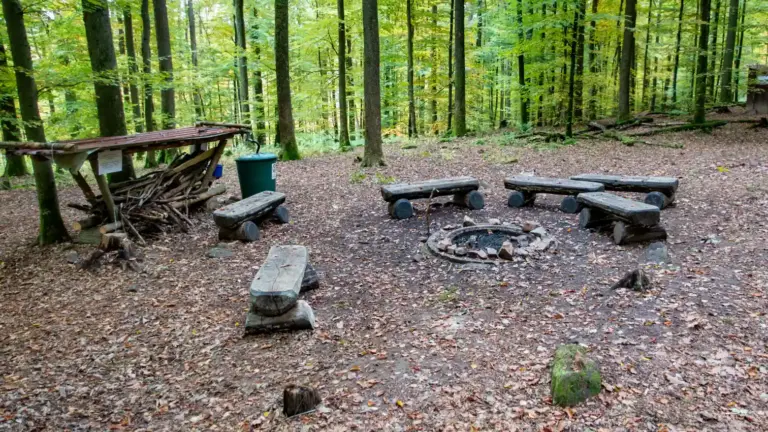 Trekkingplatz Rothenbuch I Trekkingplatz Rothenbuch I mit Feuerstelle, Sitzgelegenheiten, Brauchwassertonne und Holzlager