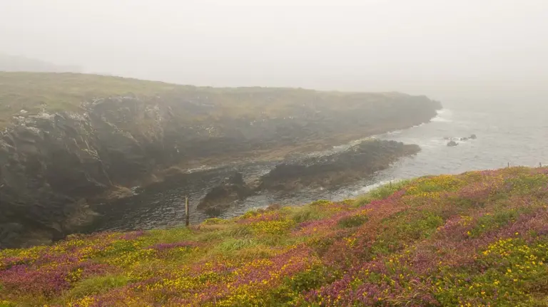Bucht im Nebel am Sheep's Head Way
