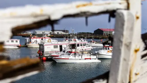 Hafen in Höfn Hafen in Höfn - gesehen durch die brüchige Wand des an Land liegendenden Schiffes SF 52 Akurey