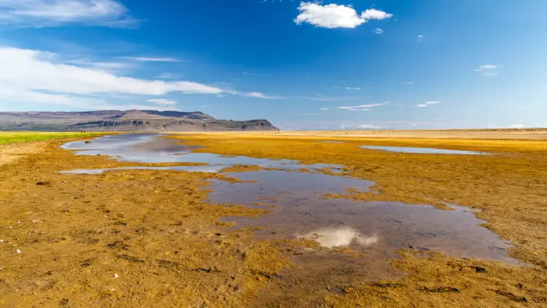 Rauðisandur - goldgelber Sandstrand in den Westfjorden