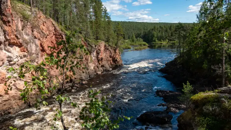 Karhunkierros – Flusslandschaft im Oulanka-Nationalpark Fluss mit Stromschnellen zwischen felsigen Ufern und Kiefernwald am Karhunkierros in Finnland