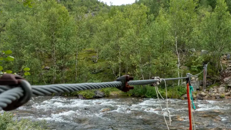 gespanntes Drahtseil mit Halteleinen über einen Fluss mit starker Strömung. Der Fluss ist umrahmt von Wald.