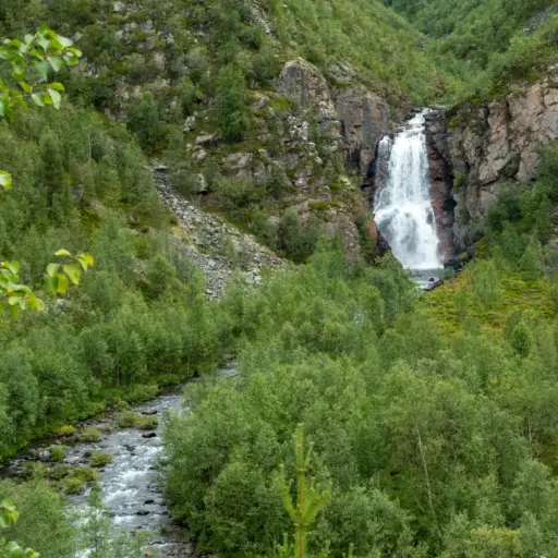 fiellu-wasserfall-fiellogeadgejohka Der Fiellu-Wasserfall und der Fluss Fiellogeadgejohka von einem erhöhten Standpunkt auf dem Kevo-Trail.
