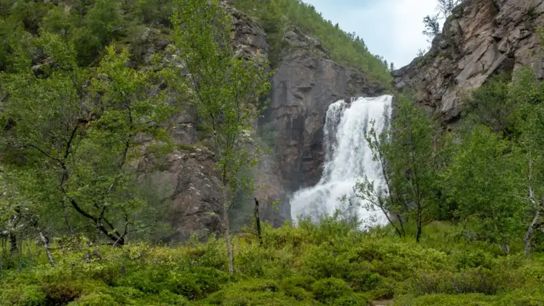 Ein mächtiger, weiß schäumender Wasserfall stürzt über eine steile, dunkle Felswand hinab, eingerahmt von grünen Birken und üppiger Vegetation im Kevo-Tal unter leicht bewölktem Himmel.