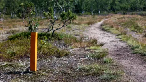 Typischer orangefarbener Markierungpflock am Wanderweg des Guivi-Trails Ein kleiner, orangefarbener Holzpflock steht im linken Vordergrund als Wegweiser neben einem schmalen, sandigen Wanderpfad, der sich durch eine karge Gras- und Heidelandschaft schlängelt.