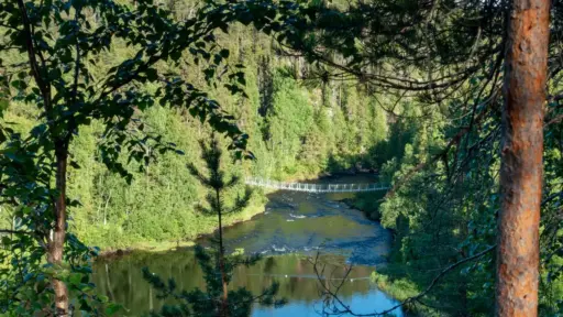 Hängebrücke bei Taivalköngä über den Oulankajoki Eine weiße Hängebrücke bei Taivalköngä über den breiten Fluss mit Stromschnellen Oulankajoki.