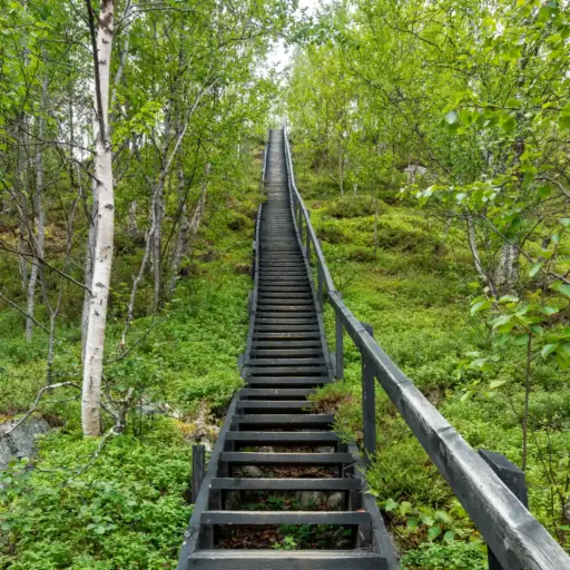 Holztreppe in der Kevo Schlucht steile, schmale und lange Holztreppe nach oben. Ungeben von Birkenwald bei bewölktem Himmel.