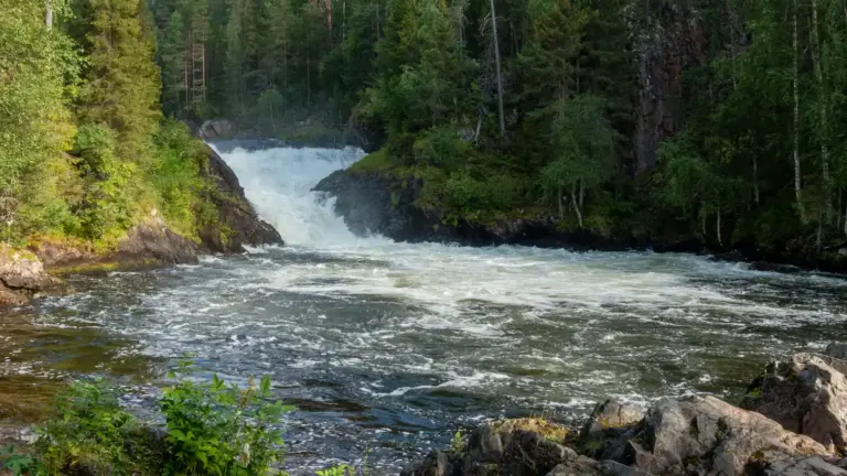 Wasserfall Jyrävä Ein beeinruckender beiter Wasserfall stürzt sich in einem Wald über eine Baumlänge in den Kitkajoki hinab.