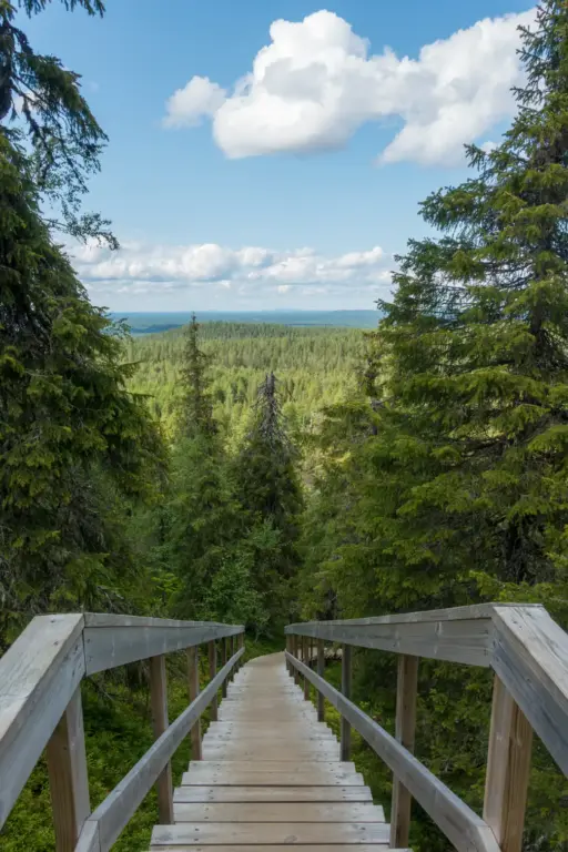 Holztreppe am Karhunkierros Steil abfallende Holztreppe. In der Umgebung dichter Wald, im Hintergund die Weite des Karhunkierros bei blauem Himmel.