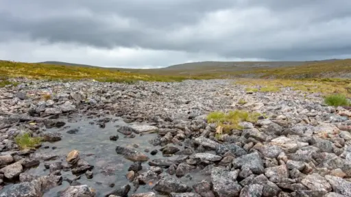 Steiniger Wanderweg im Geröllfeld zur Kuivi-Hütte Ein breites, von unzähligen grauen und hellen Steinen geprägtes Blockmeer im Fjell, durch das sich ein flacher Schmelzwasserlauf zieht, unter einem dichten, wolkenverhangenen grauen Himmel.