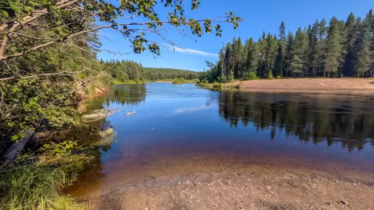 Ufer des Oulankajoki bei Ansakamppa Flaches Ufer des Oulankajoki bei Ansakamppa. auf beiden Seiten nach ein wenig unbewachsenem Ufer Wald.