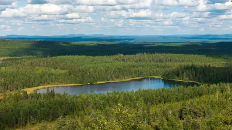 Pikku Kumpulampi (kleiner Waldsee) See von oben in weiter finnischer Waldlandschaft bei blauem Himmel
